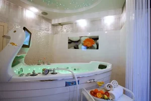 Ambiente Wellness & Spa Hotel, Чехия, Карловы Вары