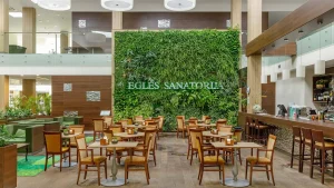 Egle Comfort Birstonas, Литва