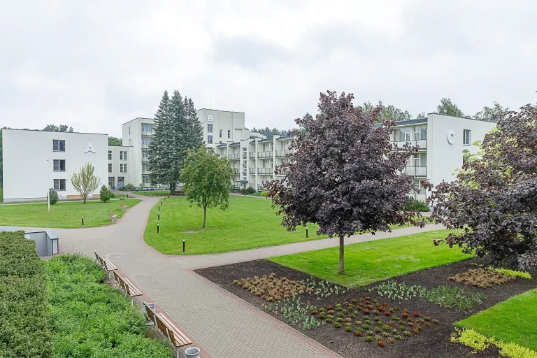 Друскининкай (Druskininkai)