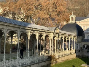 Субсидии на санаторно-курортное лечение для жителей Германии